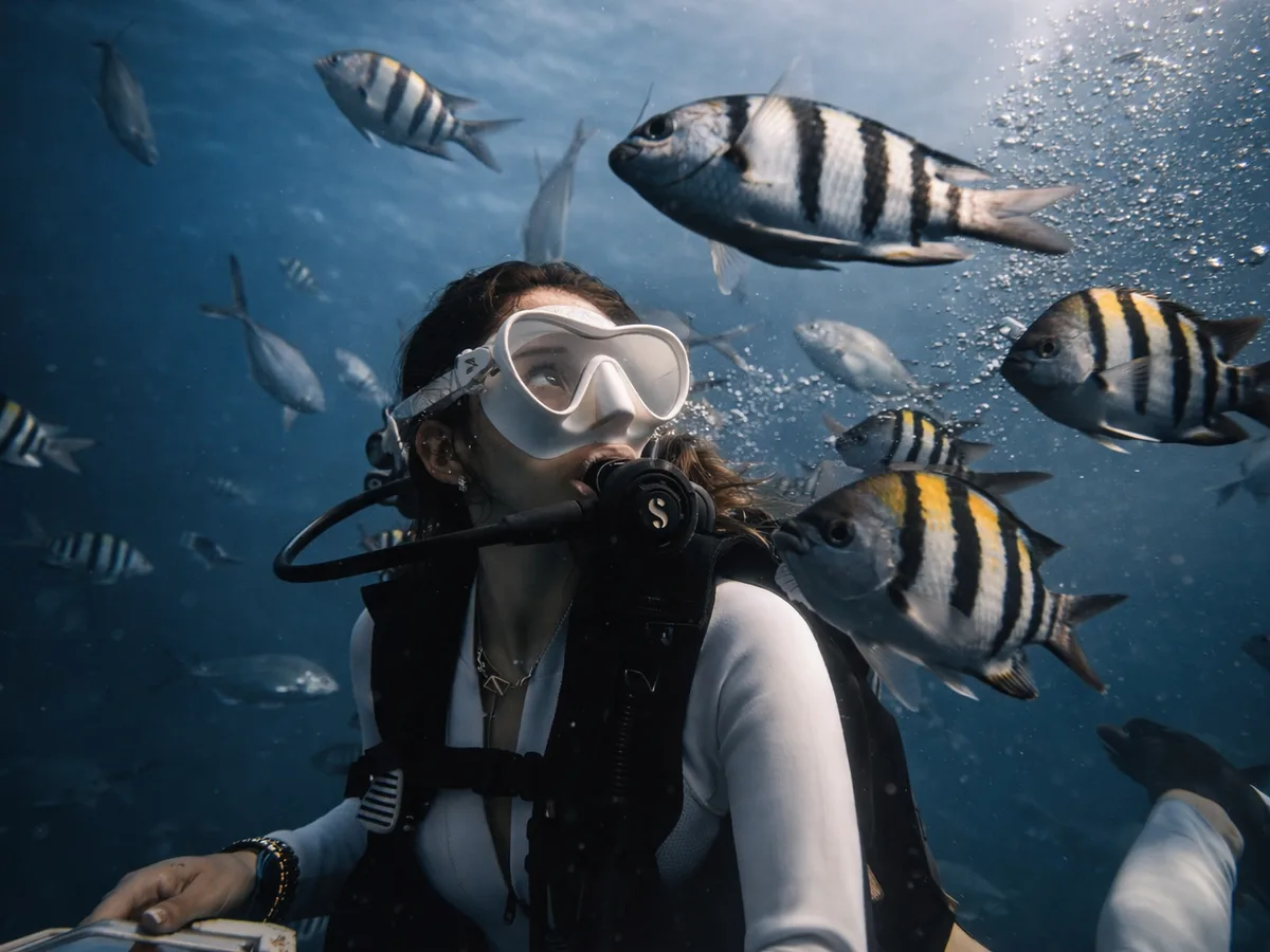 Scuba Diving (With Licence) gallery image 2
